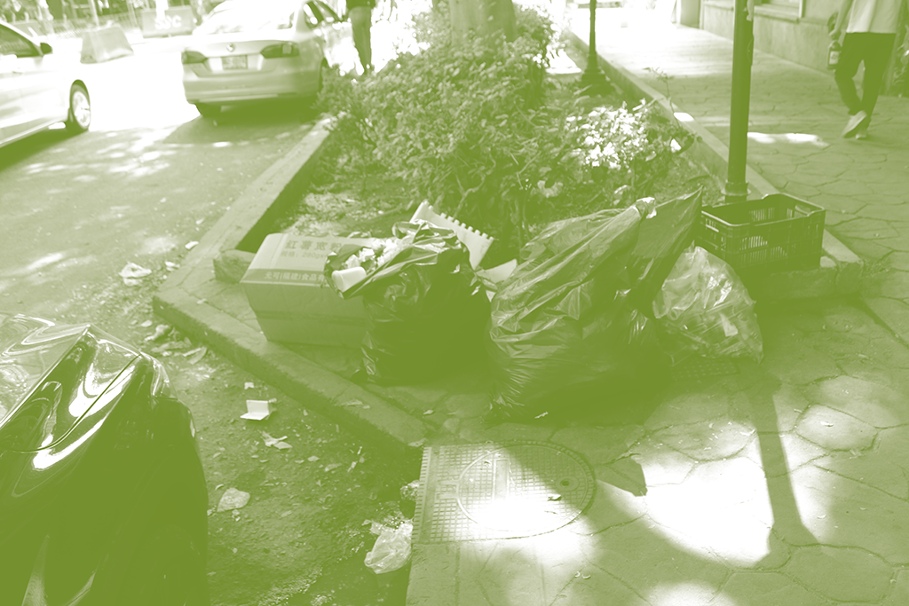 Basura encontrada durante la caminata en Reforma