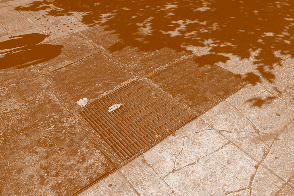 Coladera y sombras en Reforma